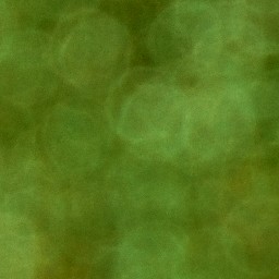 Bokeh-432